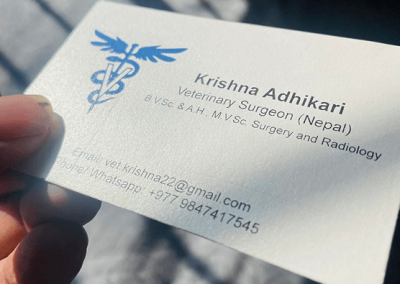Best quality business card print, visiting card printing in Kathmandu, Nepal